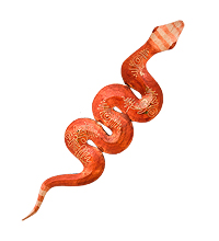 20-098 Панно настенное «Змея» (албезия, о.Бали) 50 см