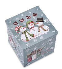 TCN-31/2 Коробка металлическая