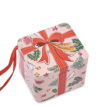 TCN-20/3 Коробка металлическая