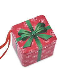 TCN-20/4 Коробка металлическая