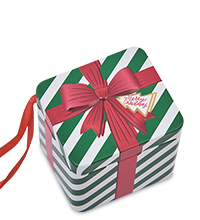 TCN-20/6 Коробка металлическая