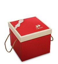 WG-64/2-A Коробка подарочная «Квадрат» цв.красный