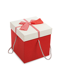 WG-32/2-B Коробка подарочная «Куб» цв.красн./бел.