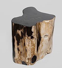 TB628 Камень древесный «Хранящий память» 90 кг