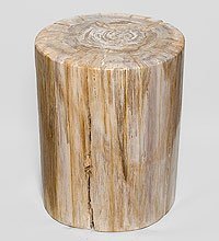 TB629 Камень древесный «Победивший стихии» 126 кг