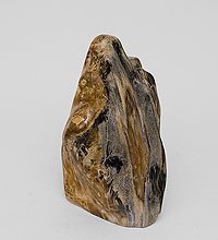 TB635 Камень древесный «Эпоха динозавров» 7 кг