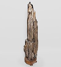 TB639 Камень древесный «Ровесник динозавра» 59 кг