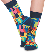 Носки креативные ASHA-0020 Matisse Wine Press 40-43 (Artsocks)