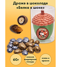 AT-36/1 Драже арахис и изюм в шоколаде «Белка в шоке», 60 г