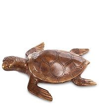 23 мая - Всемирный день черепахи